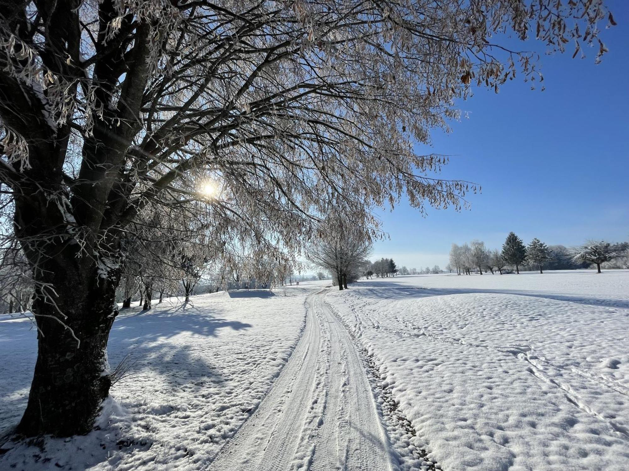 Og'S Golf Lodge Kematen an der Krems Zewnętrze zdjęcie